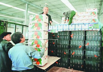 东宁奏响全面振兴强音，农副产品沿边开放拓新局