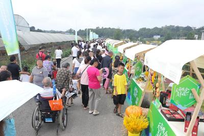 四大主题活动庆丰收，2021年天府新区农民丰收节圆满举办